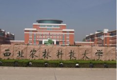 西北農(nóng)林科技大學MBA廣東班VIP調(diào)劑通知